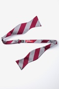 Burgundy & Gray Stripe Self-Tie Bow Tie Photo (1)