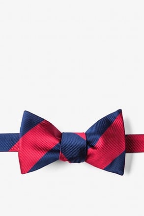 _Burgundy & Navy Stripe Self-Tie Bow Tie_