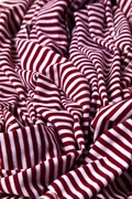 Burgundy Candy Stripe Scarf Photo (1)