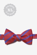 Balboa Red Stripe Self Tie Bow Tie Photo (0)