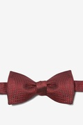 Burgundy Revitalize Self-Tie Bow Tie Photo (0)