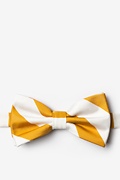 Burnt Orange & White Stripe Pre-Tied Bow Tie Photo (0)