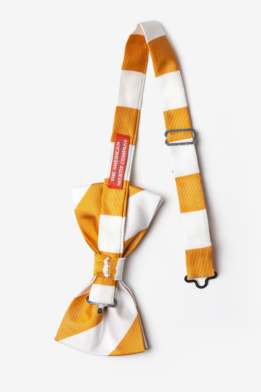 Burnt Orange & White Stripe Pre-Tied Bow Tie Photo (1)