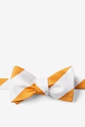 Burnt Orange & White Stripe Self-Tie Bow Tie Photo (0)