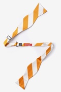 Burnt Orange & White Stripe Self-Tie Bow Tie Photo (1)
