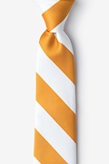 Burnt Orange & White Stripe Tie For Boys Photo (0)