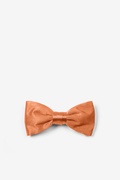 Burnt Orange Silk Burnt Orange