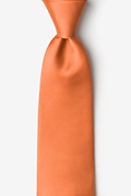 Burnt Orange 3" Skinny Tie Photo (0)