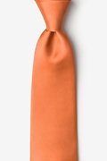 Burnt Orange Extra Long Tie Photo (0)