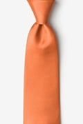 Burnt Orange Tie Photo (0)