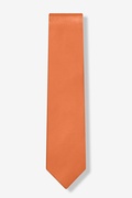 Burnt Orange Tie For Boys Photo (1)