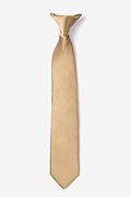 Butterscotch Clip-on Tie For Boys Photo (0)