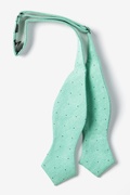 Celadon Warner Cotton Polka Dots Diamond Tip Bow Tie Photo (1)