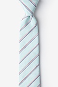 Celadon Port Jefferson Skinny Tie Photo (0)