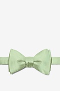 Celadon Silk Celadon Green