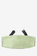 Celadon Green Cummerbund Photo (0)