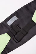 Celadon Green Cummerbund Photo (1)
