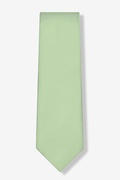 Celadon Green Extra Long Tie Photo (1)