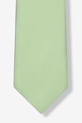Celadon Green Extra Long Tie Photo (3)