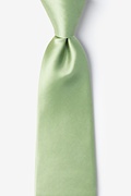 Celadon Green Extra Long Tie Photo (0)