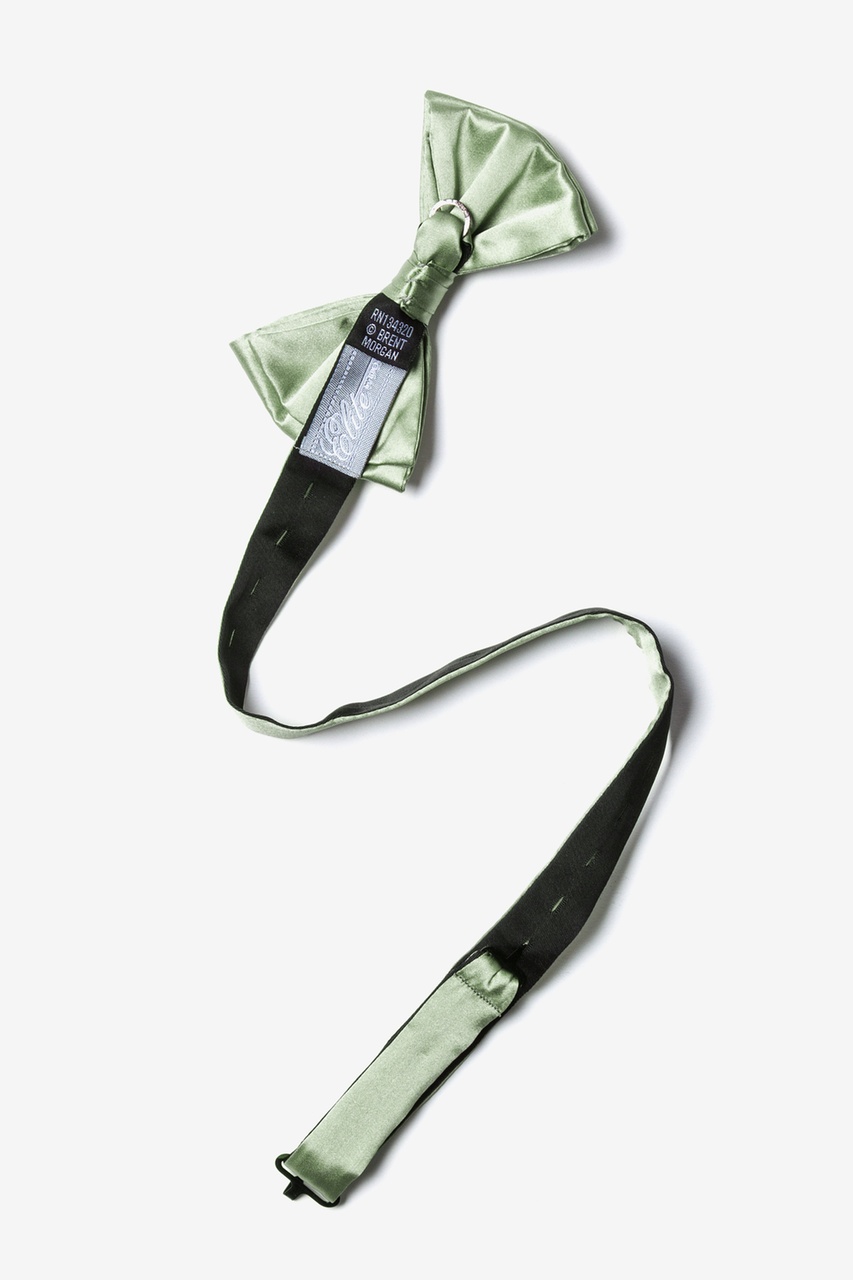 Celadon Green Silk Pretied Bow Tie | Ties.com