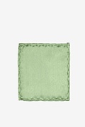 Celadon Green Sample Swatch Photo (0)