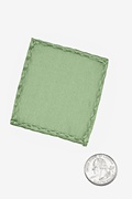 Celadon Green Sample Swatch Photo (1)