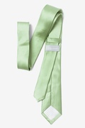 Celadon Green Skinny Tie Photo (2)