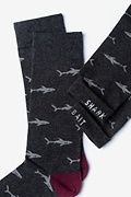 Shark Bait Charcoal Medium-Large Sock Photo (1)