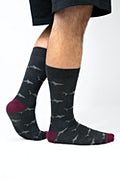 Shark Bait Charcoal Medium-Large Sock Photo (2)