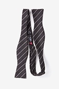 Glenn Heights Charcoal Skinny Bow Tie Photo (1)