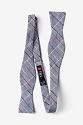 Tom Charcoal Skinny Bow Tie Photo (1)
