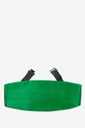 Christmas Green Cummerbund Photo (0)