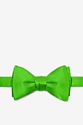 Classic Green Self-Tie Bow Tie Photo (0)