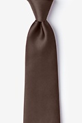 Cocoa Brown Extra Long Tie Photo (0)