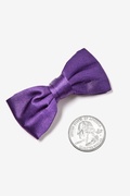 Concord Grape Bow Tie For Infants Photo (2)