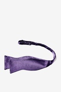 Concord Grape Self-Tie Bow Tie Photo (2)