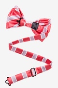 Jefferson Stripe Coral Pre-Tied Bow Tie Photo (2)