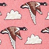 Coral Silk Feather Weather