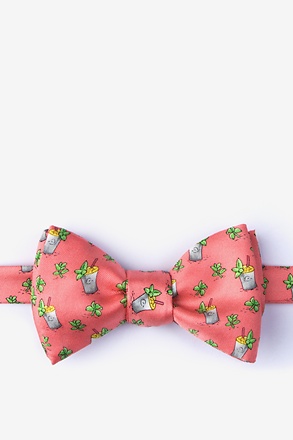 _Mint Condition Coral Self-Tie Bow Tie_