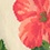 Cream Carded Cotton Aloha Beaches Medium-Large Sock
