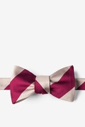 Crimson & Cream Stripe Self-Tie Bow Tie Photo (0)