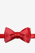 Crimson Silk Crimson Red
