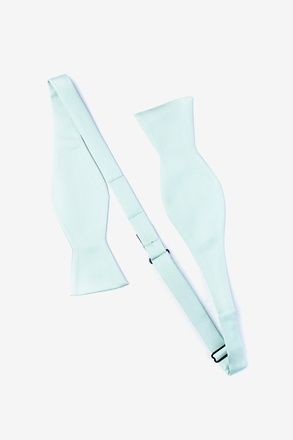 _Swine Flu H1N1 Black Self-Tie Bow Tie_