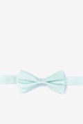 Mint Dusty Mint Bow Tie For Boys Photo (0)