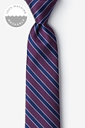 Washable Larry Eggplant Tie Photo (0)