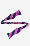 Fuchsia & Navy Stripe