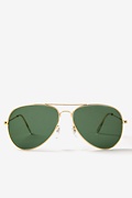 Raleigh Gold Sunglasses Photo (0)