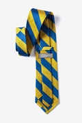 Blue and Gold Stripe Tie Photo (1)