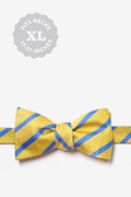 Balboa Gold Stripe Self Tie Bow Photo (0)